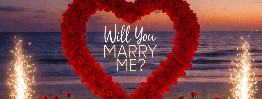 Proposal on the Ocean Shore