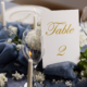 Caring for Wedding Guests